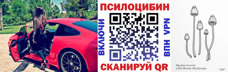 Галлюциногенные грибы Magic Shrooms мориарти состав Холмск наркотики